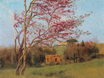 Landscape, Blossoming Red Almond